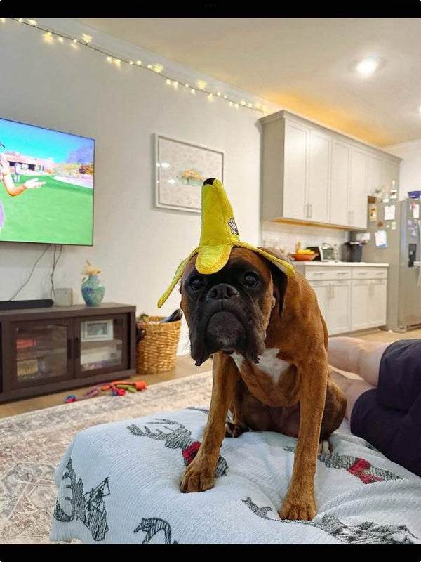 La famille de Victor