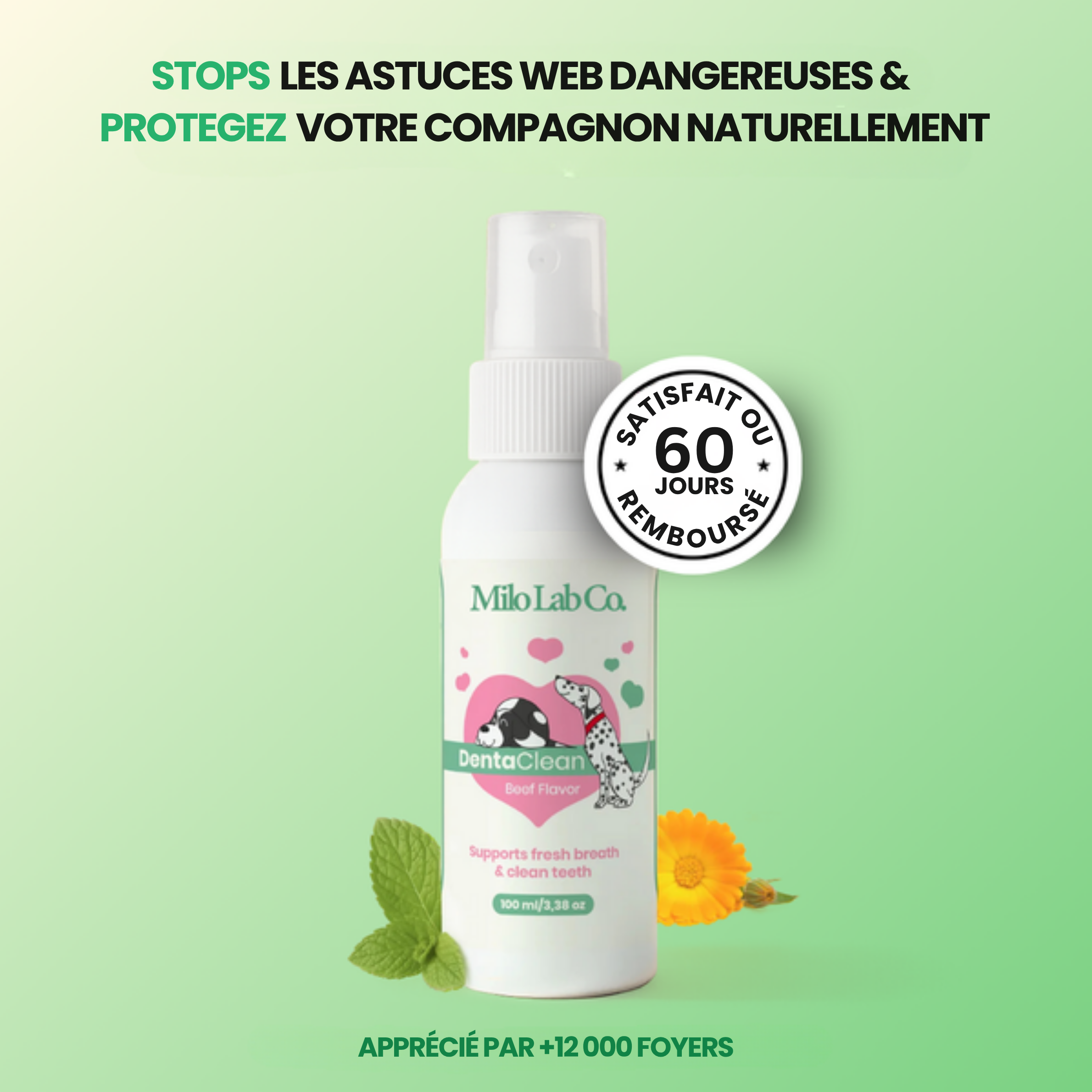 Stoppez les bactéries responsables des infections et le tartre avec le spray dentaire MiloLab