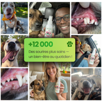 Stoppez les bactéries responsables des infections et le tartre avec le spray dentaire MiloLab