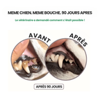 Stoppez les bactéries responsables des infections et le tartre avec le spray dentaire MiloLab