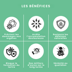 Stoppez les bactéries responsables des infections et le tartre avec le spray dentaire MiloLab