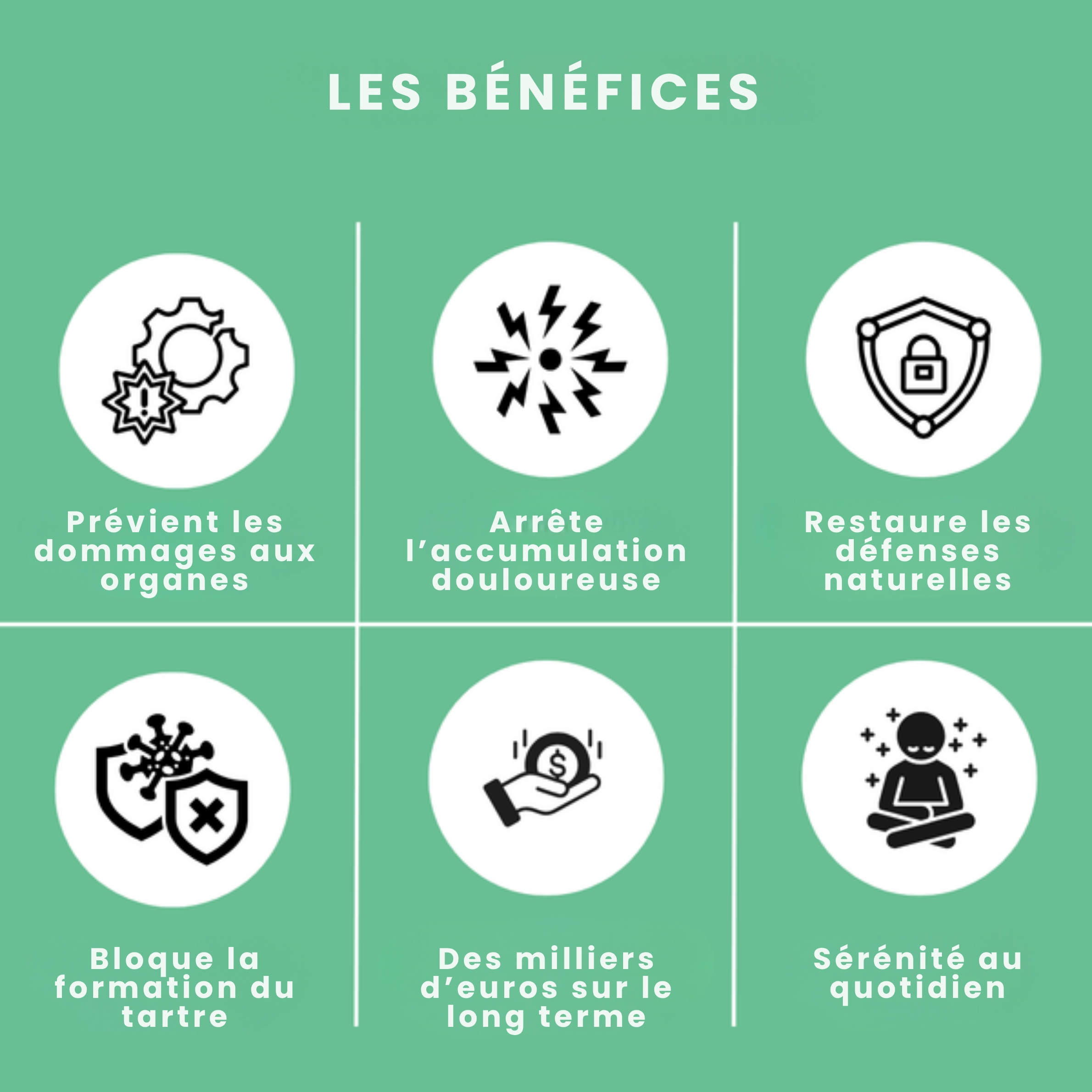 Stoppez les bactéries responsables des infections et le tartre avec le spray dentaire MiloLab