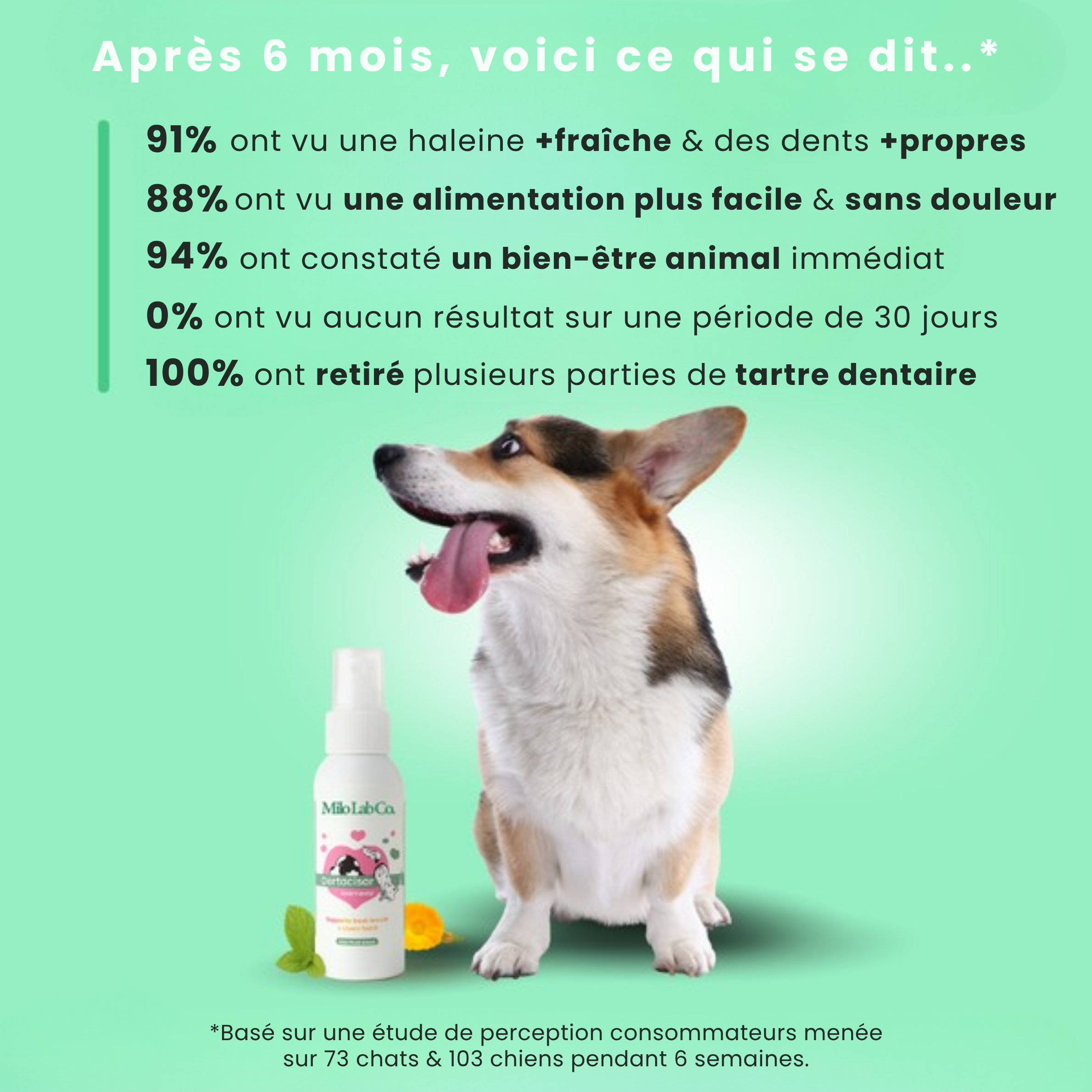 Stoppez les bactéries responsables des infections et le tartre avec le spray dentaire MiloLab