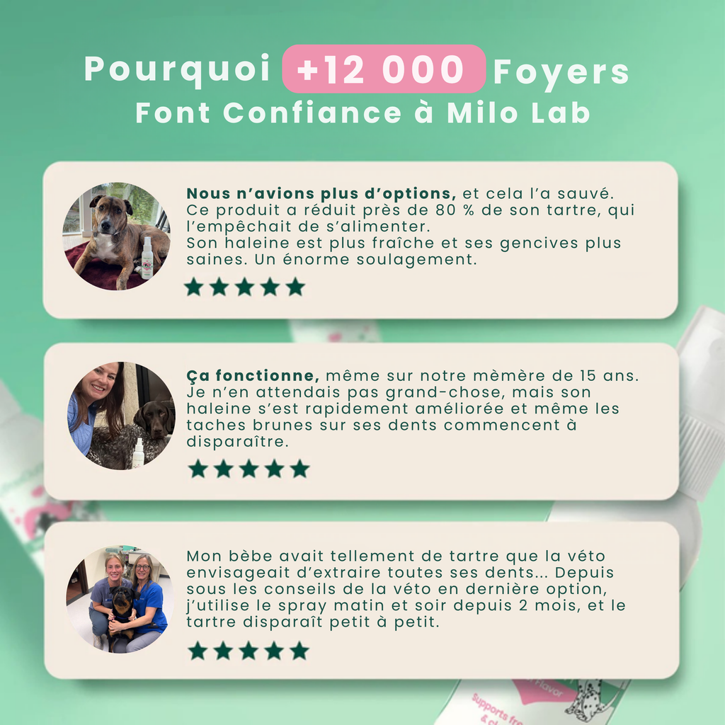 Stoppez les bactéries responsables des infections et le tartre avec le spray dentaire MiloLab