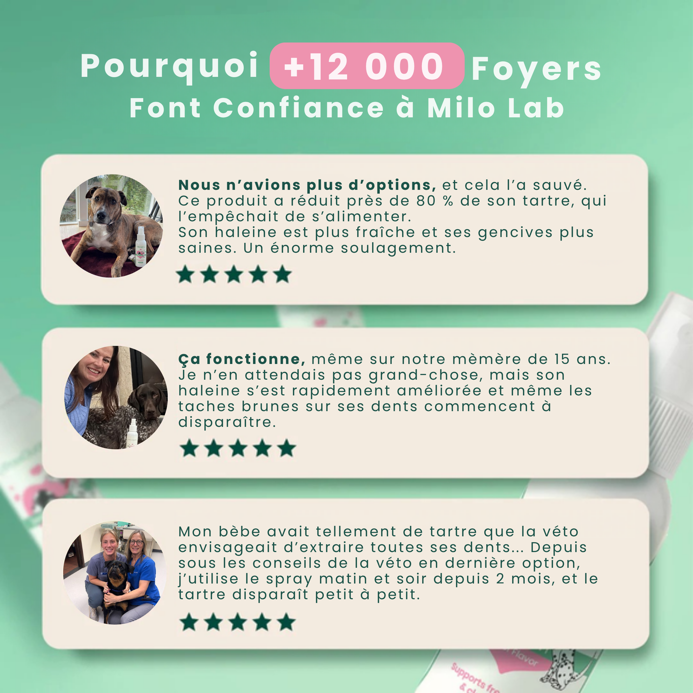 Stoppez les bactéries responsables des infections et le tartre avec le spray dentaire MiloLab