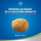 DENTALIFE Friandises Lot de 8 x 40g ANTI-TARTRE